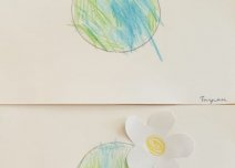 img (7)
